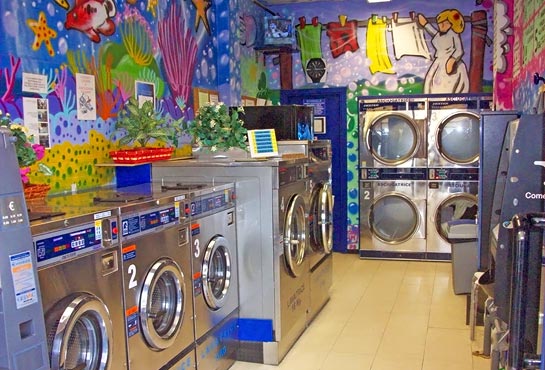 Express Wash Negozio 2